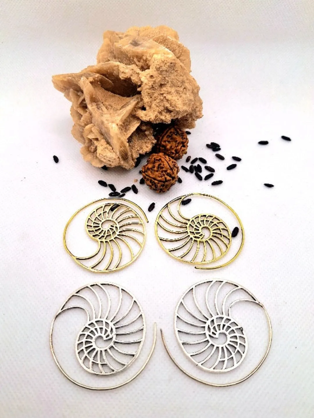 Orecchini Spirale Sezione Aurea